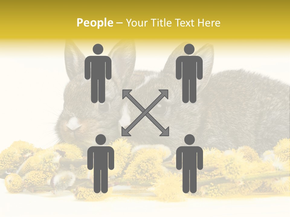 Two Branch Hare PowerPoint Template