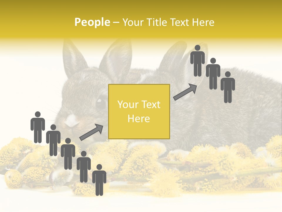 Two Branch Hare PowerPoint Template