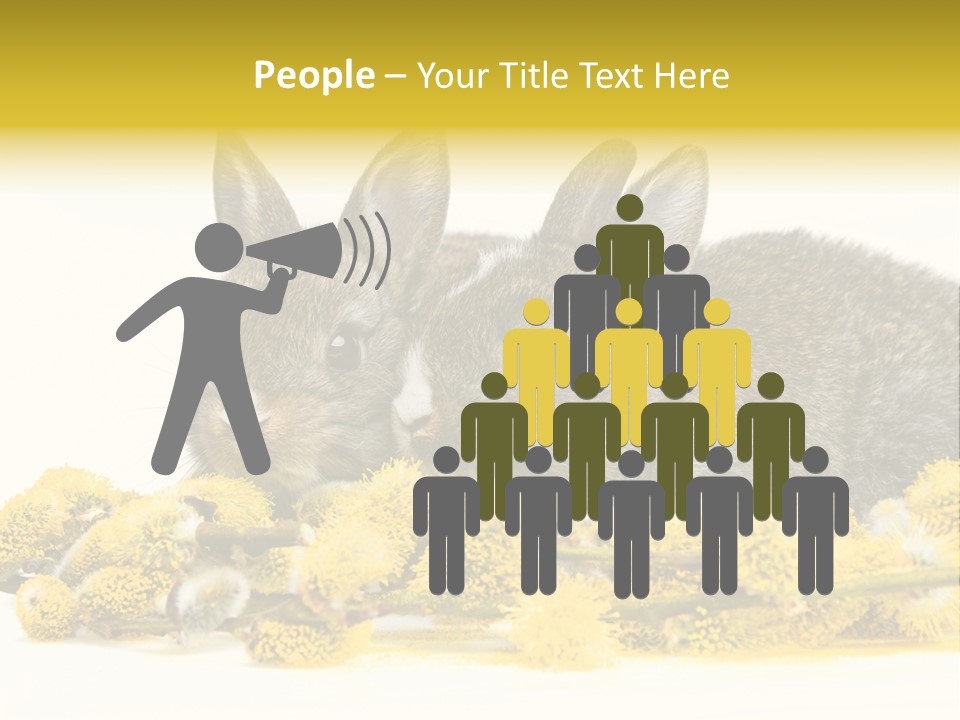 Two Branch Hare PowerPoint Template