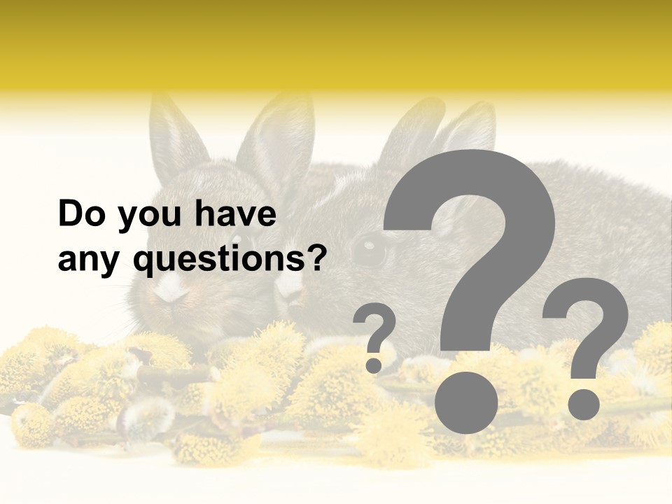 Two Branch Hare PowerPoint Template
