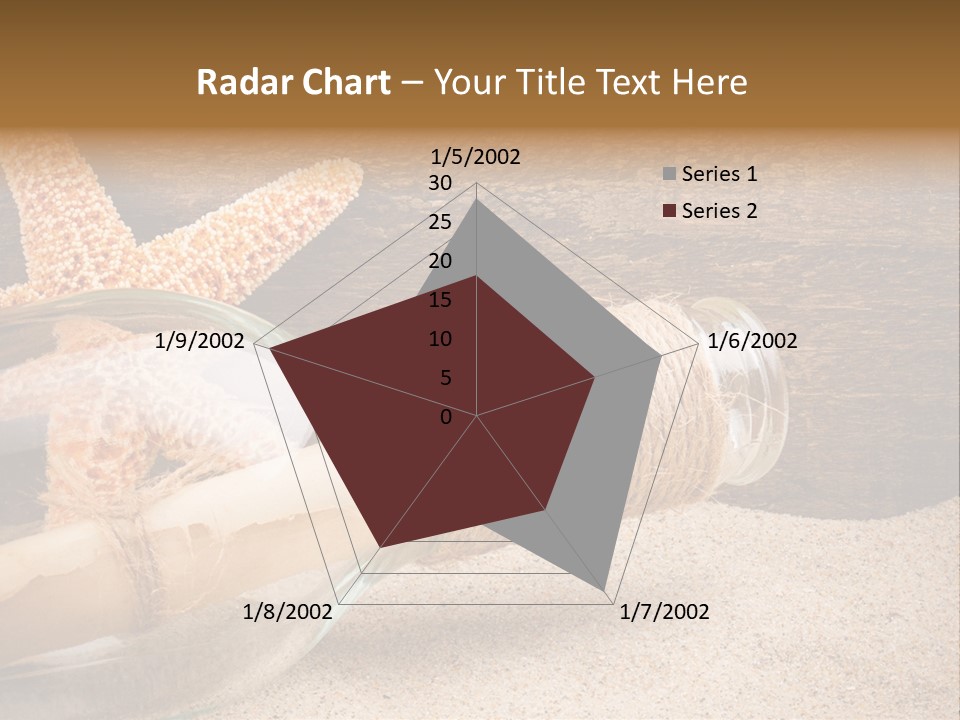 Macro Holidays Beach PowerPoint Template