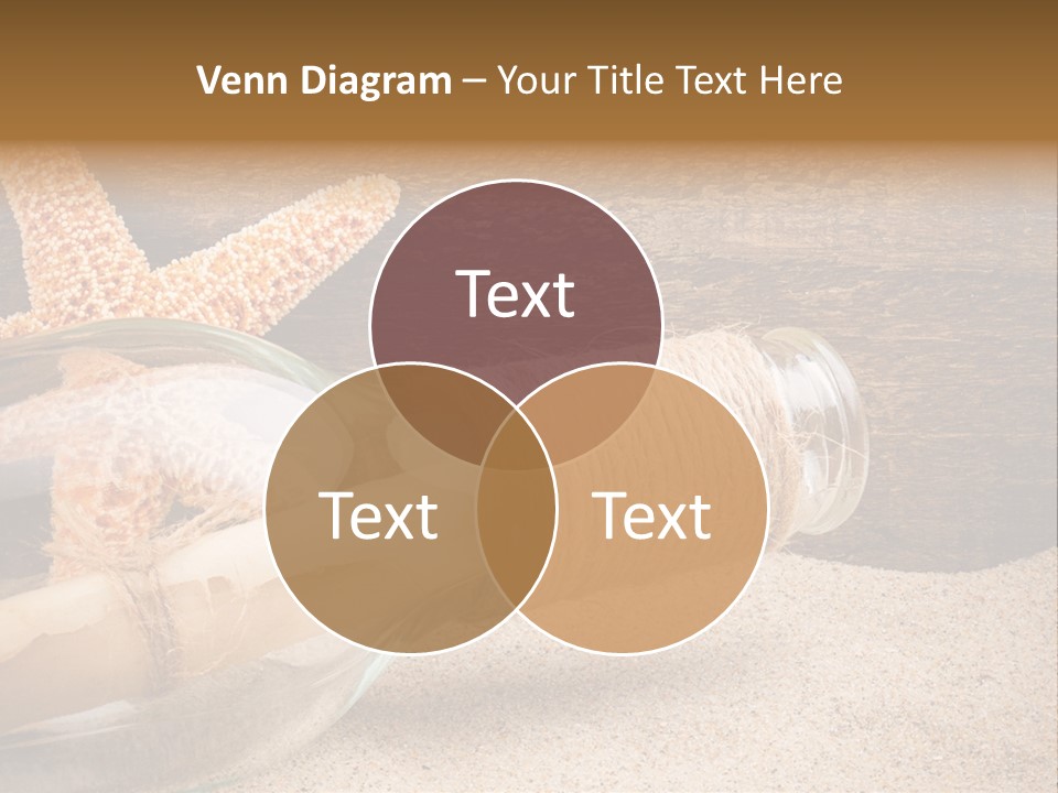 Macro Holidays Beach PowerPoint Template