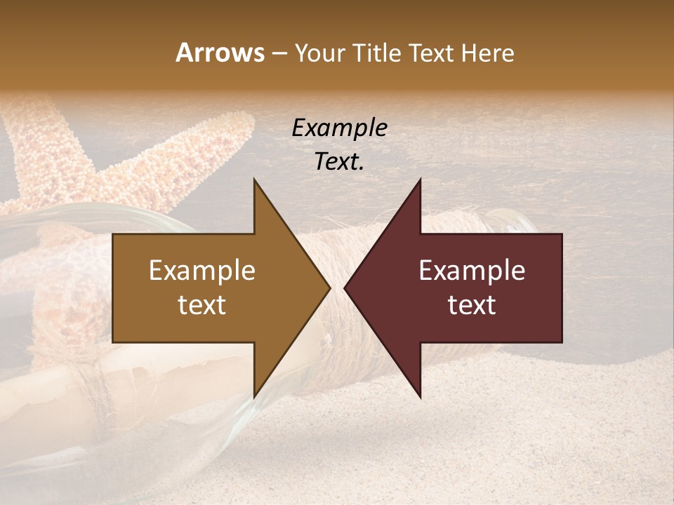 Macro Holidays Beach PowerPoint Template