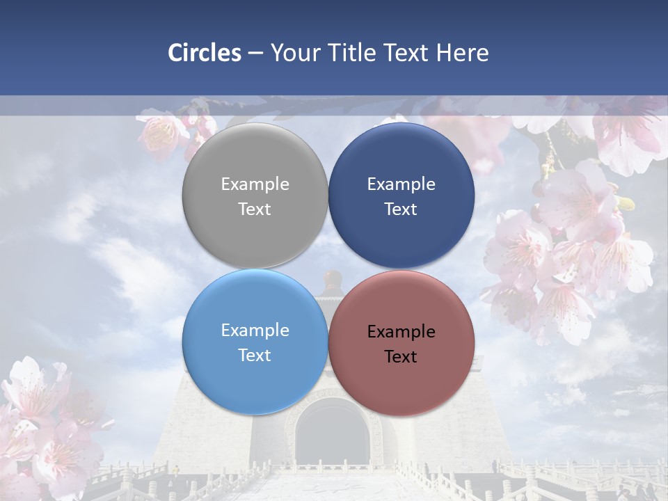 Calligraphy Chinese Blossom PowerPoint Template