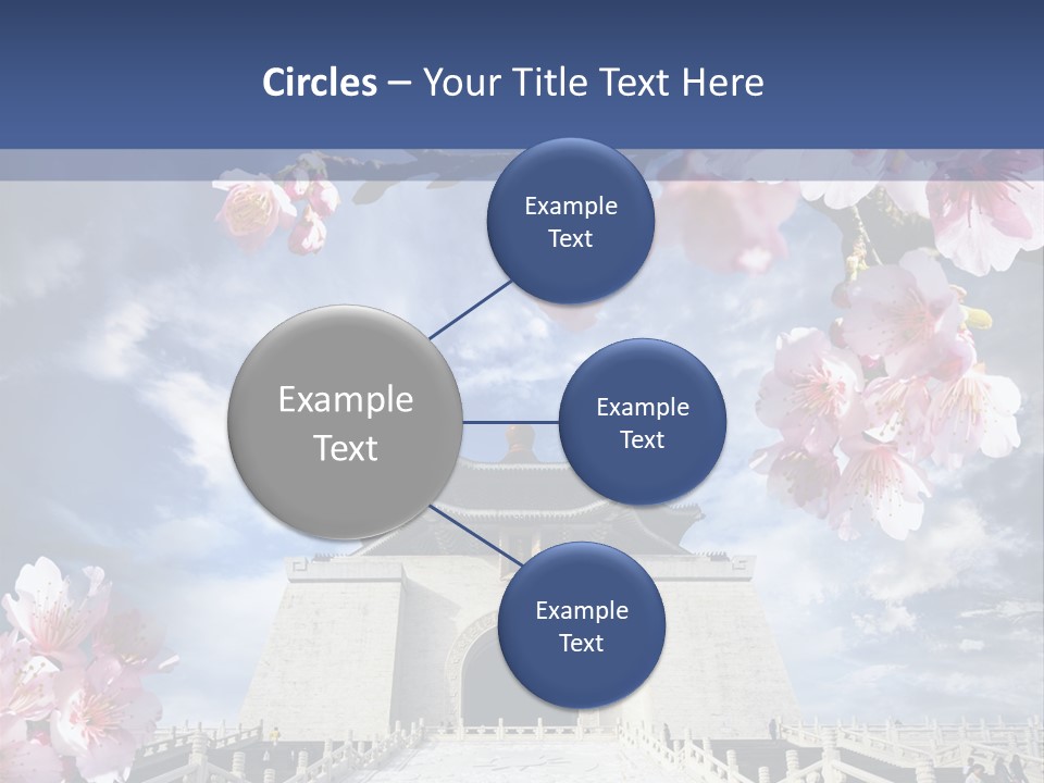 Calligraphy Chinese Blossom PowerPoint Template