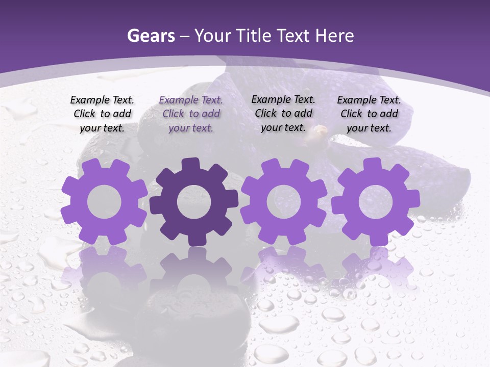 Culture Pebble Black PowerPoint Template