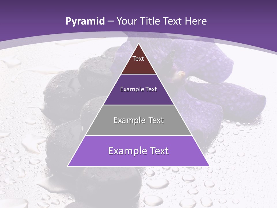 Culture Pebble Black PowerPoint Template