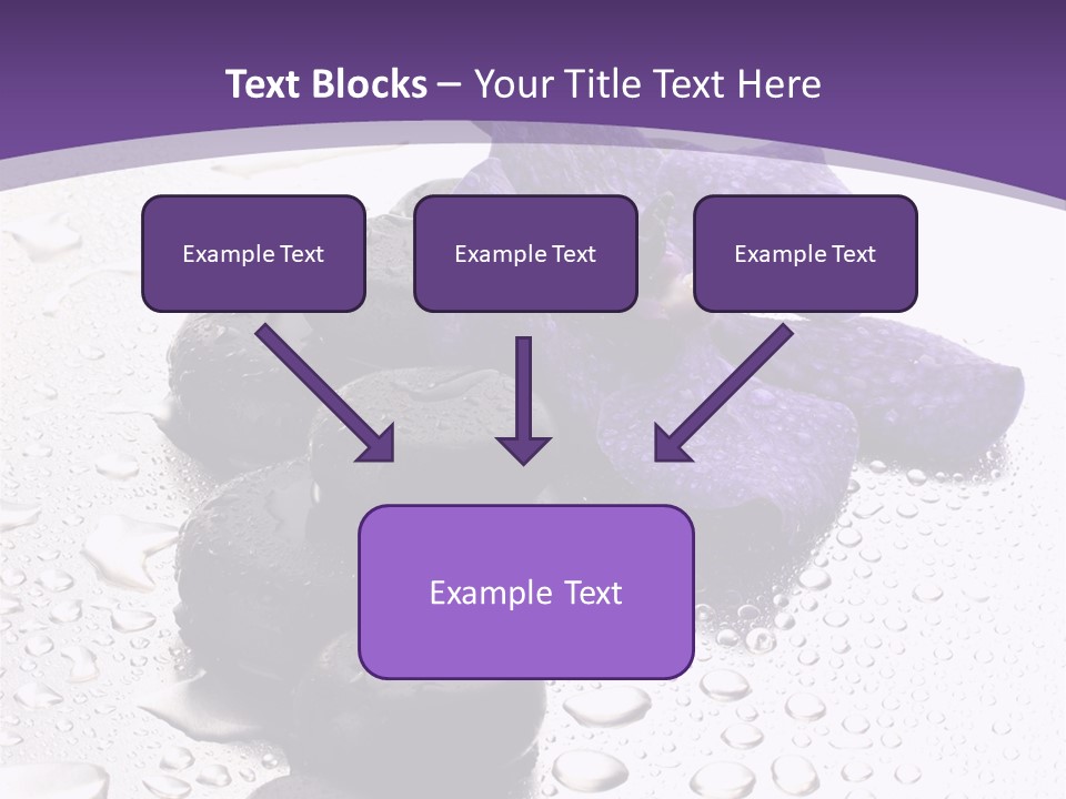 Culture Pebble Black PowerPoint Template