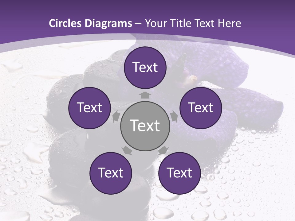 Culture Pebble Black PowerPoint Template