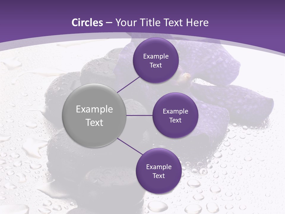 Culture Pebble Black PowerPoint Template