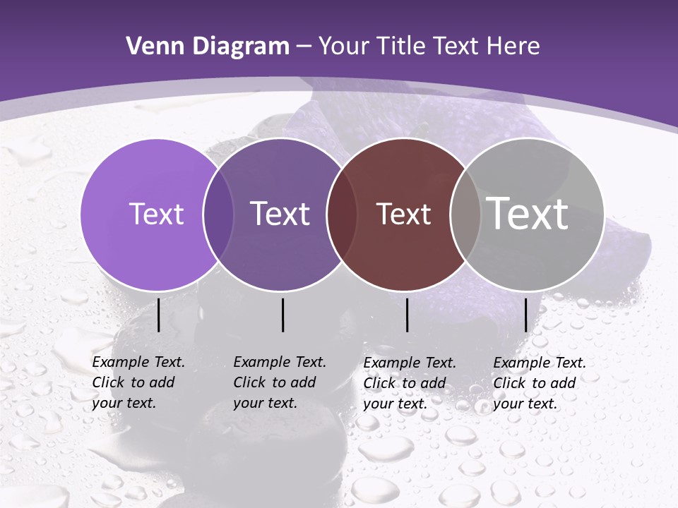 Culture Pebble Black PowerPoint Template