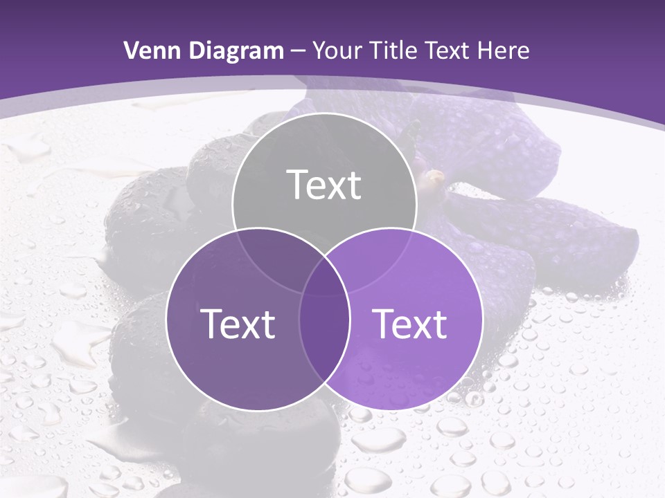 Culture Pebble Black PowerPoint Template