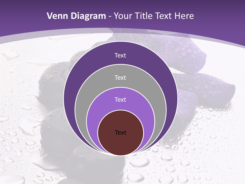 Culture Pebble Black PowerPoint Template