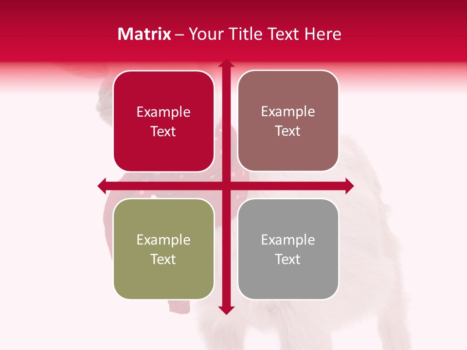 One Animal Agriculture Isolated On White PowerPoint Template