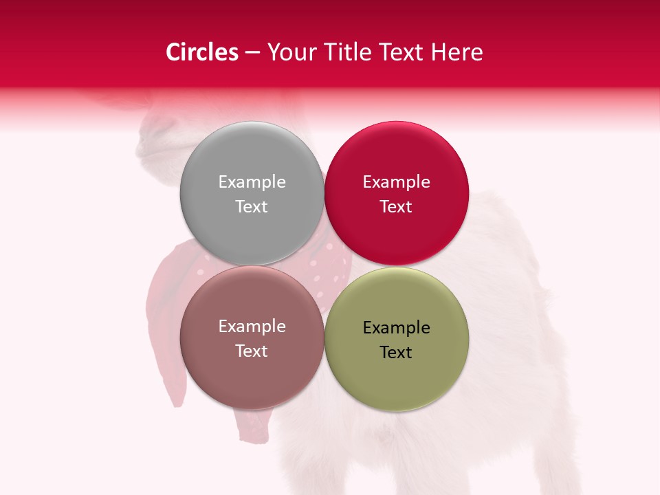 One Animal Agriculture Isolated On White PowerPoint Template