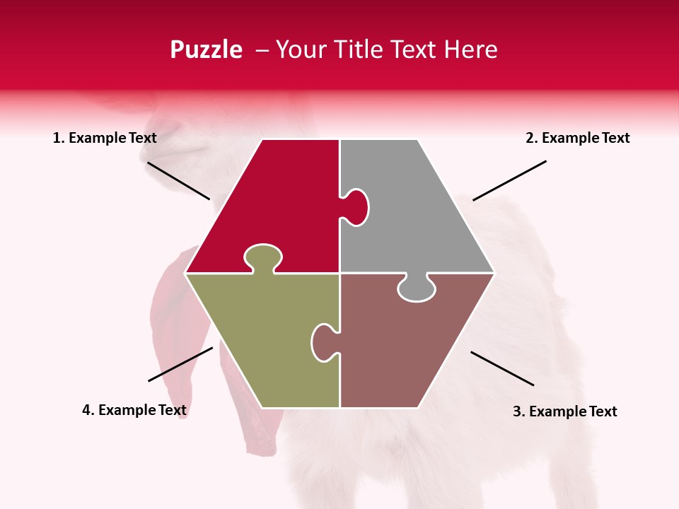 One Animal Agriculture Isolated On White PowerPoint Template