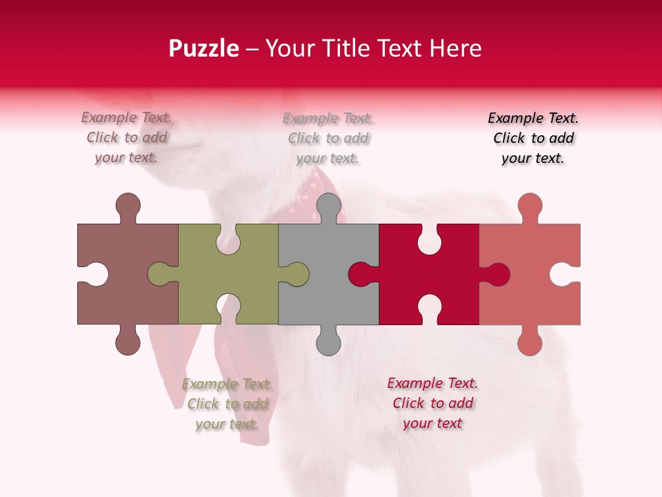 One Animal Agriculture Isolated On White PowerPoint Template