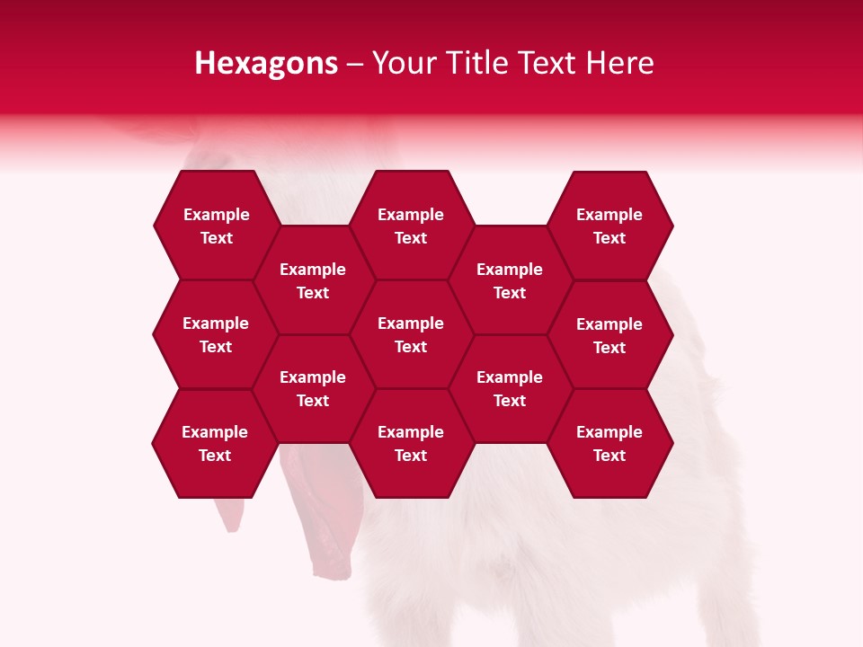 One Animal Agriculture Isolated On White PowerPoint Template