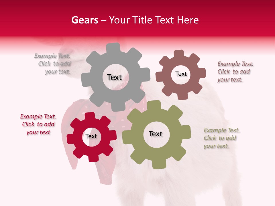 One Animal Agriculture Isolated On White PowerPoint Template