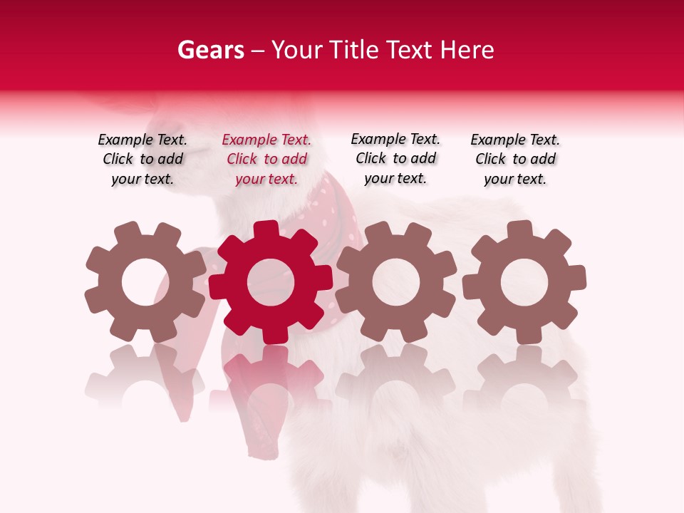 One Animal Agriculture Isolated On White PowerPoint Template