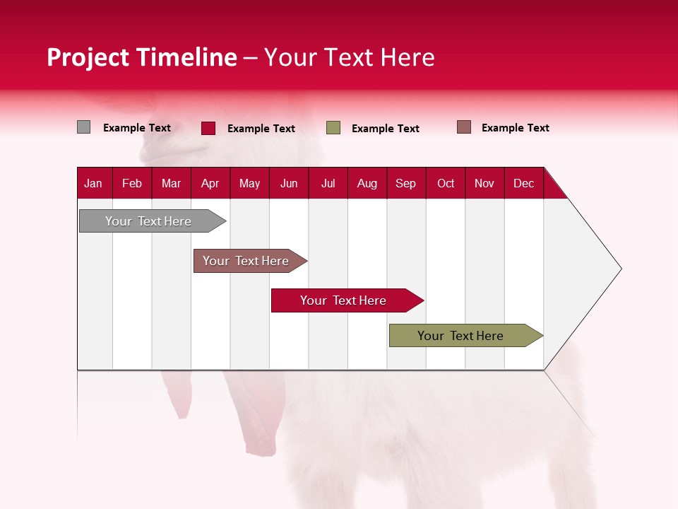 One Animal Agriculture Isolated On White PowerPoint Template