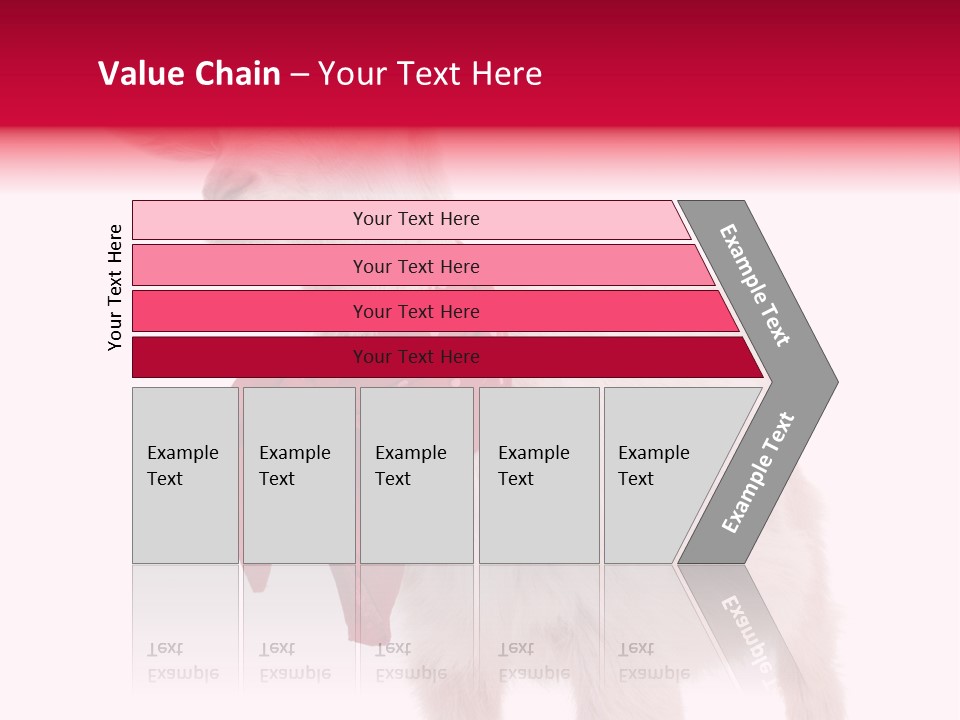 One Animal Agriculture Isolated On White PowerPoint Template