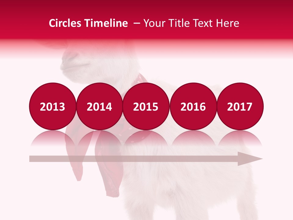 One Animal Agriculture Isolated On White PowerPoint Template