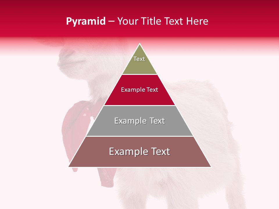 One Animal Agriculture Isolated On White PowerPoint Template