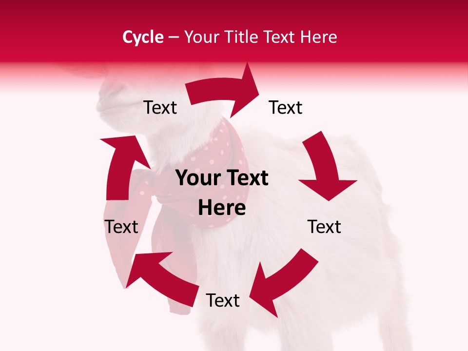 One Animal Agriculture Isolated On White PowerPoint Template