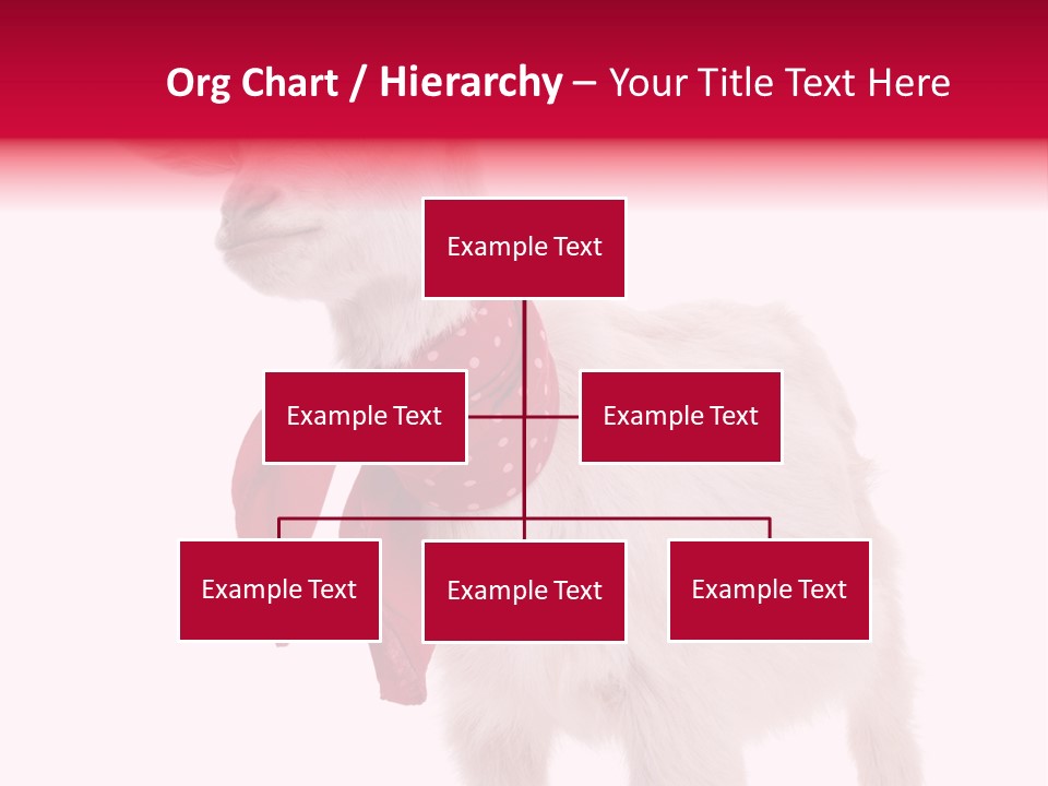 One Animal Agriculture Isolated On White PowerPoint Template