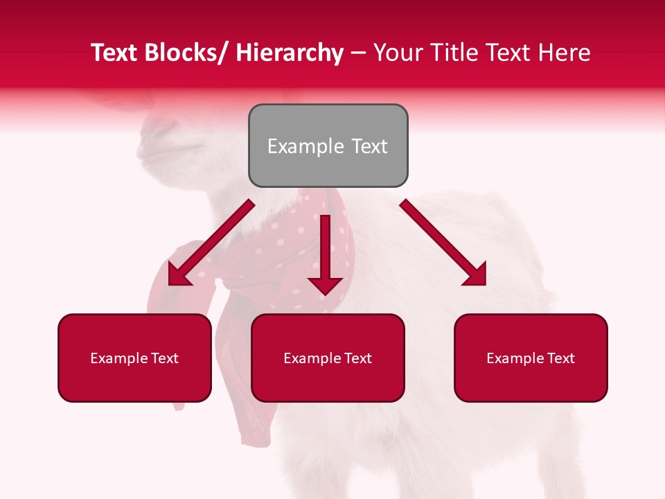 One Animal Agriculture Isolated On White PowerPoint Template