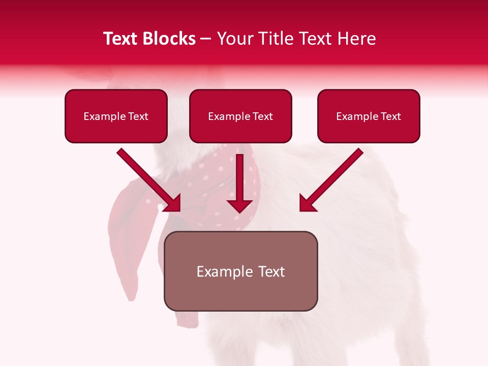 One Animal Agriculture Isolated On White PowerPoint Template