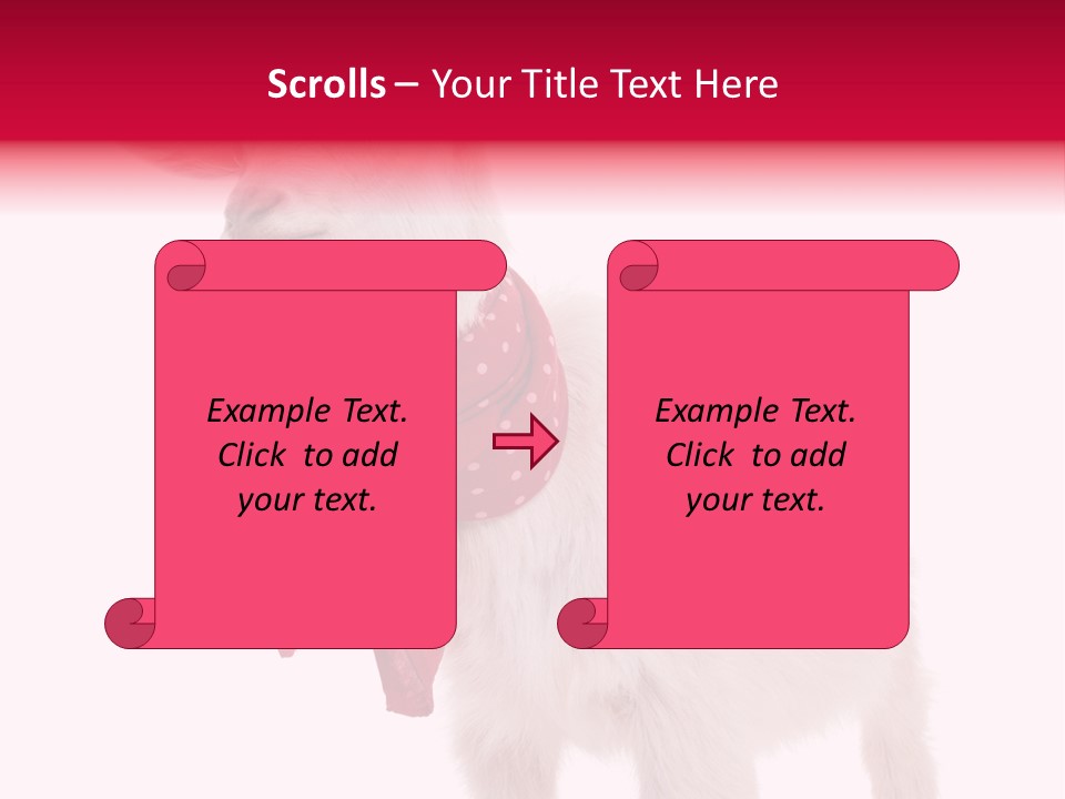 One Animal Agriculture Isolated On White PowerPoint Template