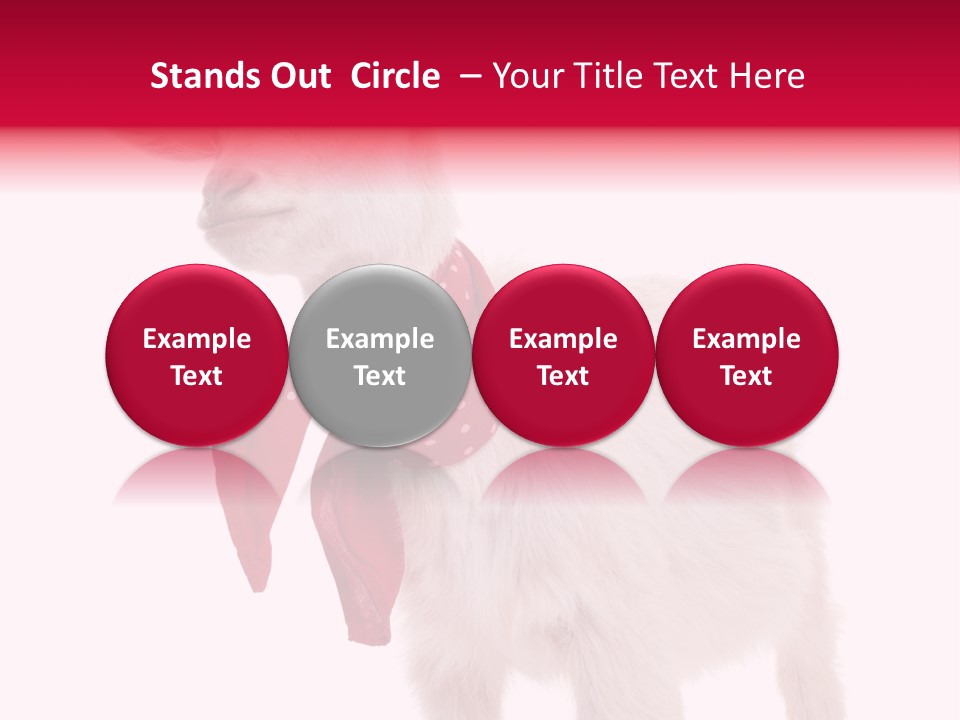 One Animal Agriculture Isolated On White PowerPoint Template