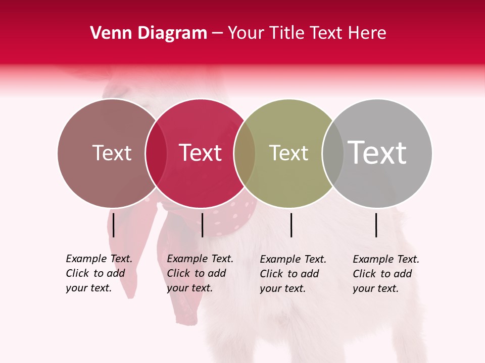 One Animal Agriculture Isolated On White PowerPoint Template