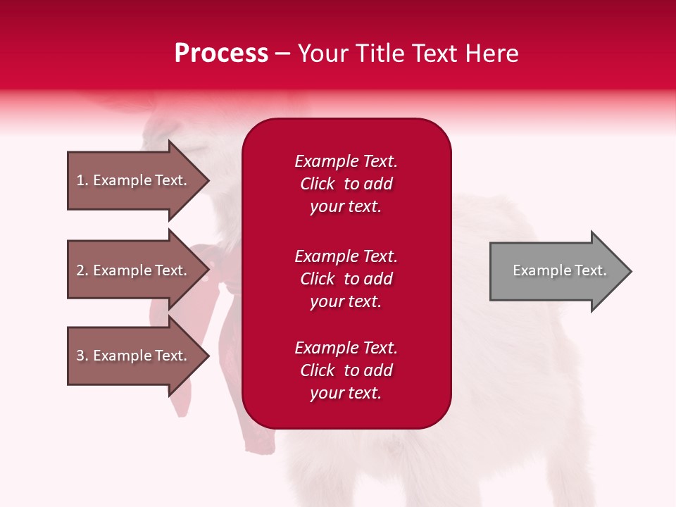 One Animal Agriculture Isolated On White PowerPoint Template