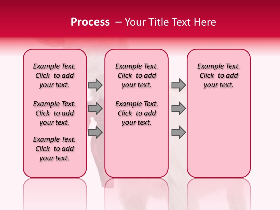 One Animal Agriculture Isolated On White PowerPoint Template