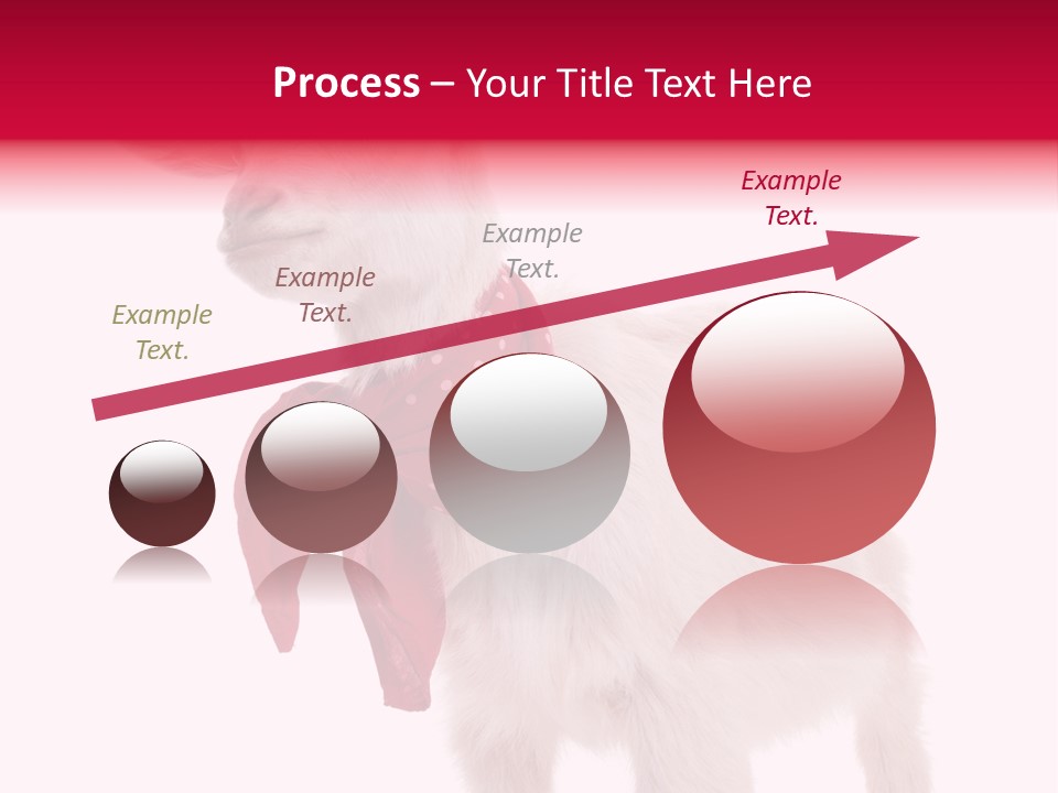 One Animal Agriculture Isolated On White PowerPoint Template