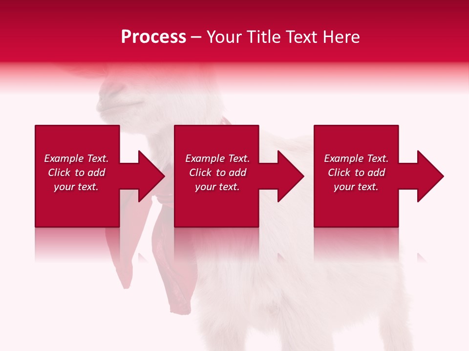 One Animal Agriculture Isolated On White PowerPoint Template