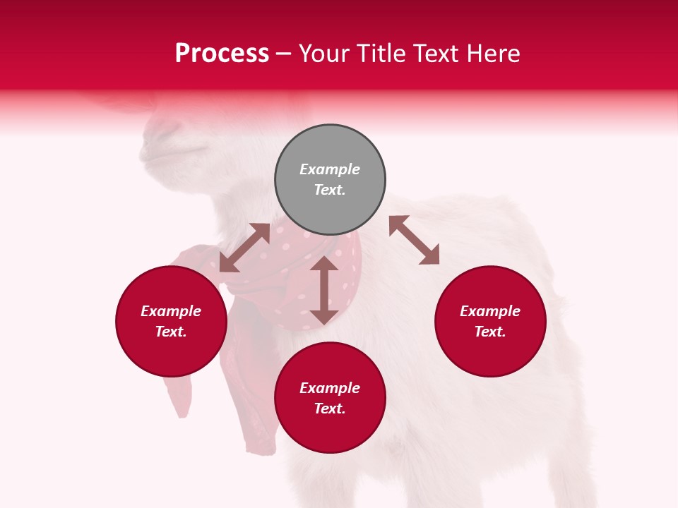 One Animal Agriculture Isolated On White PowerPoint Template