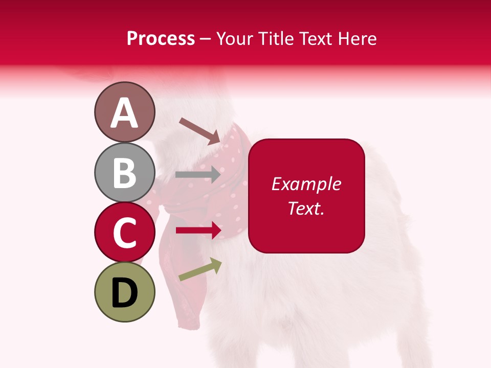 One Animal Agriculture Isolated On White PowerPoint Template