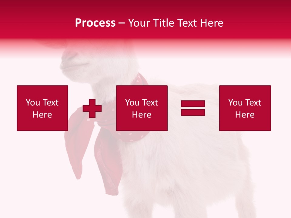 One Animal Agriculture Isolated On White PowerPoint Template