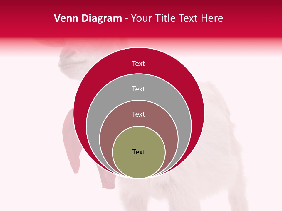 One Animal Agriculture Isolated On White PowerPoint Template