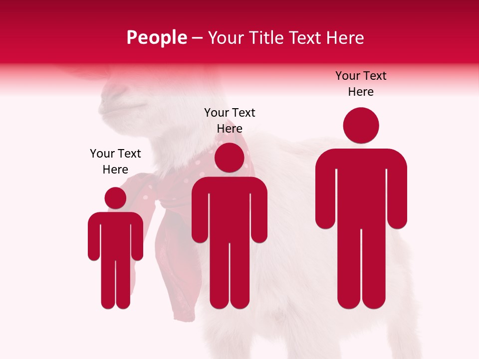 One Animal Agriculture Isolated On White PowerPoint Template