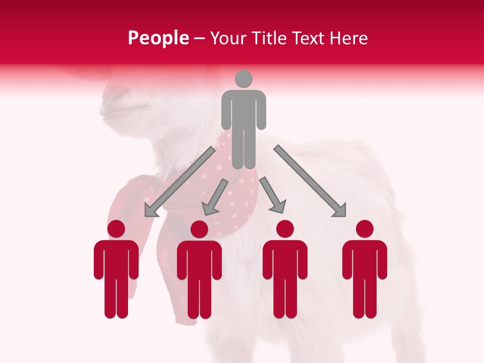 One Animal Agriculture Isolated On White PowerPoint Template