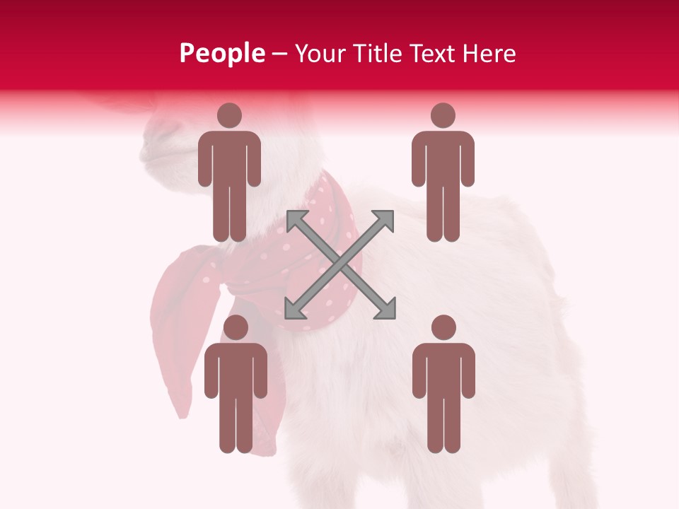 One Animal Agriculture Isolated On White PowerPoint Template