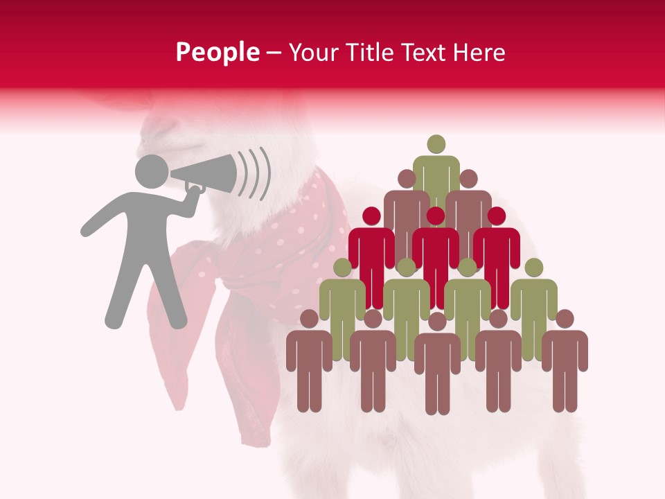 One Animal Agriculture Isolated On White PowerPoint Template