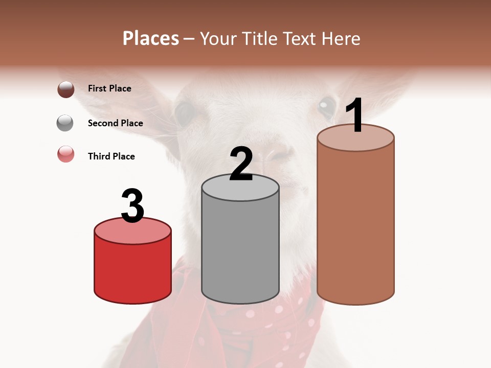 Milk Agriculture Studio Shot PowerPoint Template