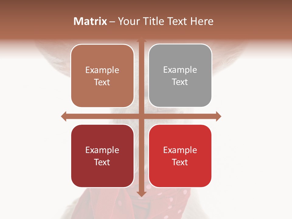 Milk Agriculture Studio Shot PowerPoint Template