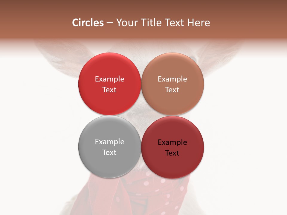 Milk Agriculture Studio Shot PowerPoint Template